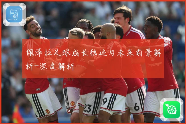 佩泽拉足球成长轨迹与未来前景解析-深度解析